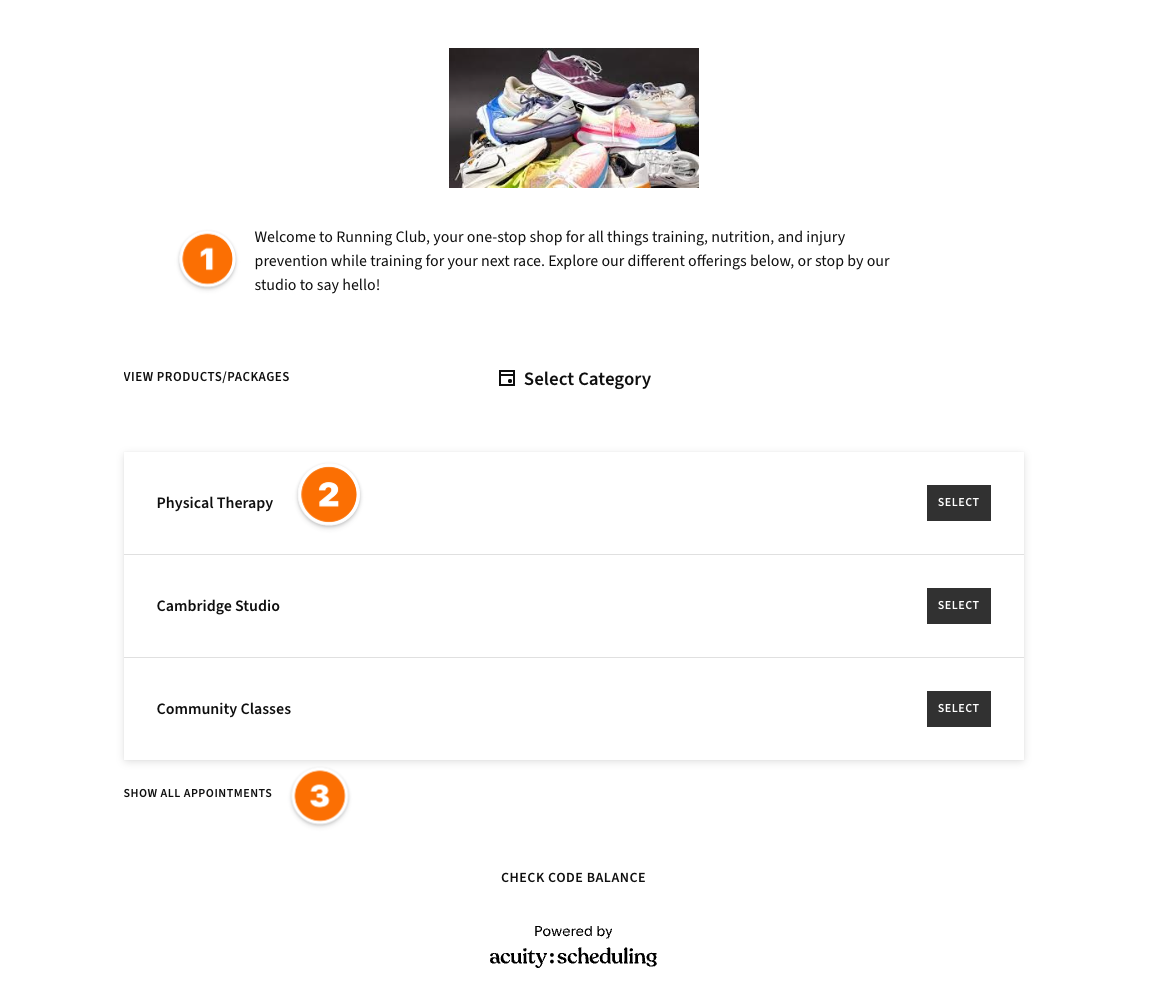 FINAL Client Scheduling Page Appointment Categories.png